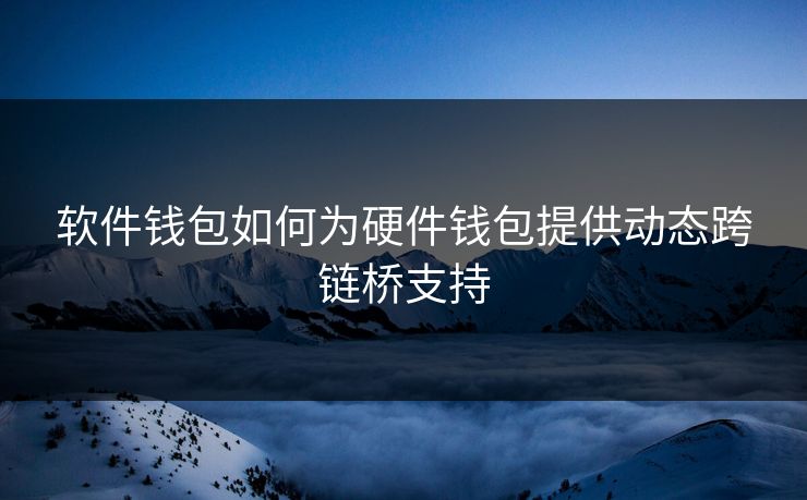 软件钱包如何为硬件钱包提供动态跨链桥支持