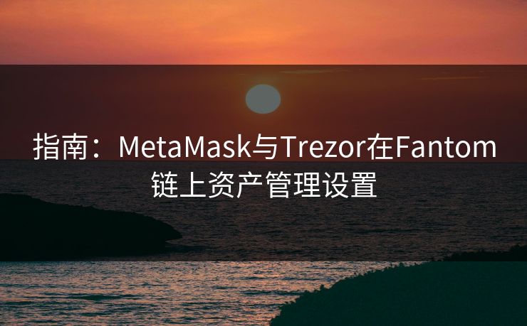 指南：MetaMask与Trezor在Fantom链上资产管理设置