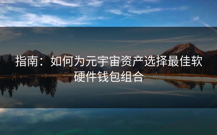 指南：如何为元宇宙资产选择最佳软硬件钱包组合