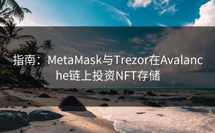 指南：MetaMask与Trezor在Avalanche链上投资NFT存储