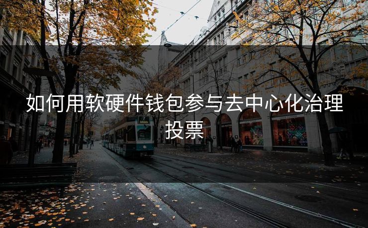 如何用软硬件钱包参与去中心化治理投票