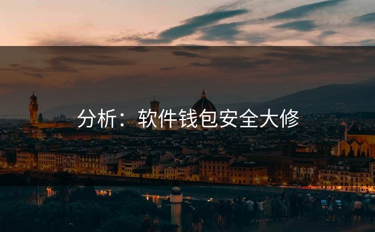 分析：软件钱包安全大修