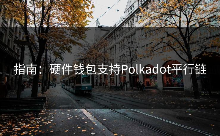 指南：硬件钱包支持Polkadot平行链